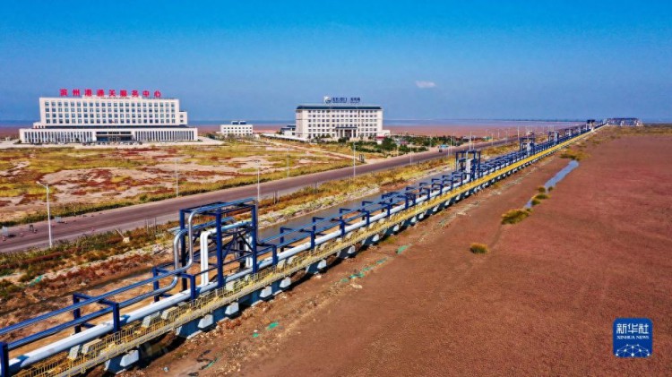 山东滨州：建设油气管廊助力产业联动发展