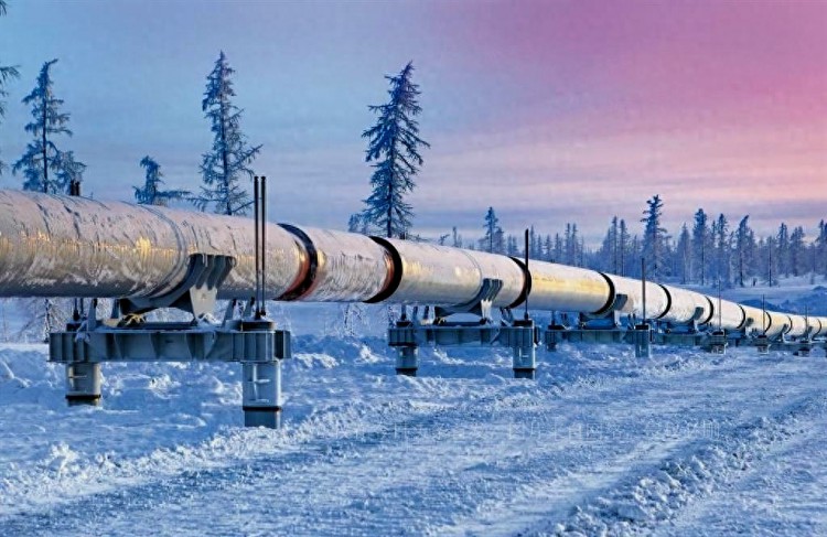 德国完全停购俄罗斯石油天然气英国也停购了俄想让中国兜底