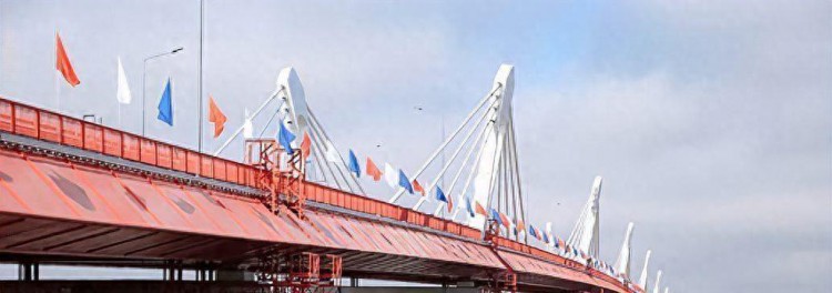 中俄跨境大桥才通车几个月，俄罗斯就发牢骚了，早听劝早就解决了